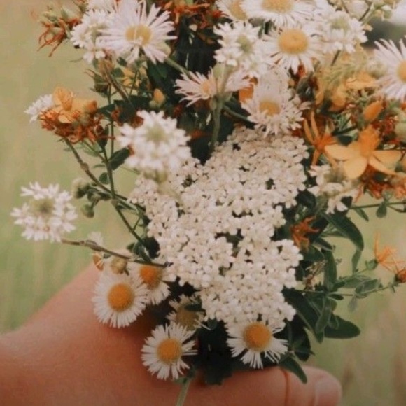 Happy Poshing! - Picture 15 of 16